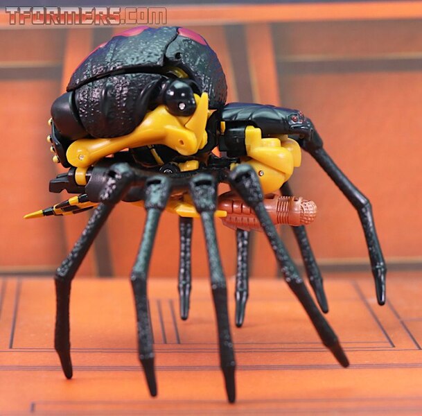 Transformers Kingdom Blackarachnia  (18 of 46)